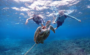 業務部 企画課 旅行